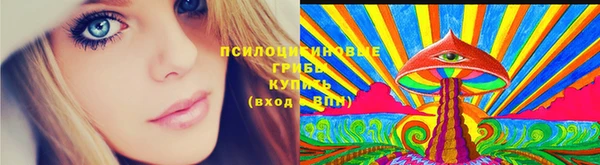 ECSTASY Осинники