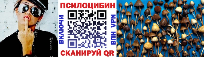 kraken как войти  мориарти формула  Псилоцибиновые грибы GOLDEN TEACHER  купить наркотик  Омск 